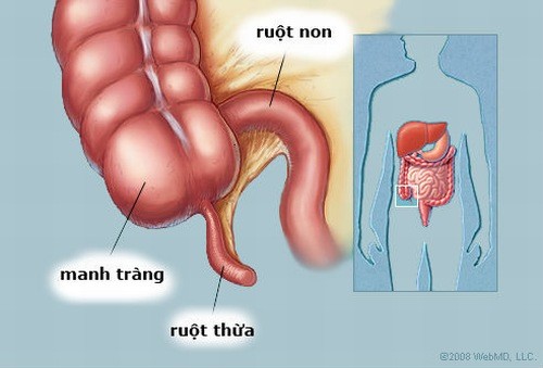 bi quyet dieu tri viem ruot thua 1