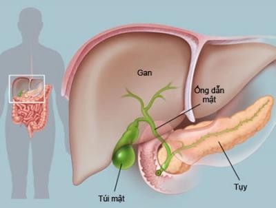 Chụp cộng hưởng từ (MRI) gan