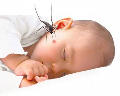 10 việc cần làm để giữ vệ sinh nhà phòng sốt xuất huyết