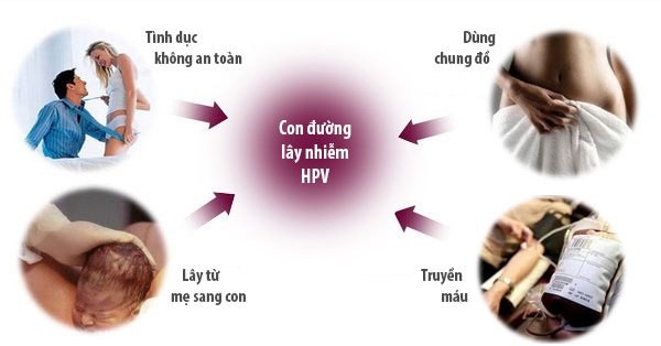 Con đường lây nhiễm bệnh sùi mào gà