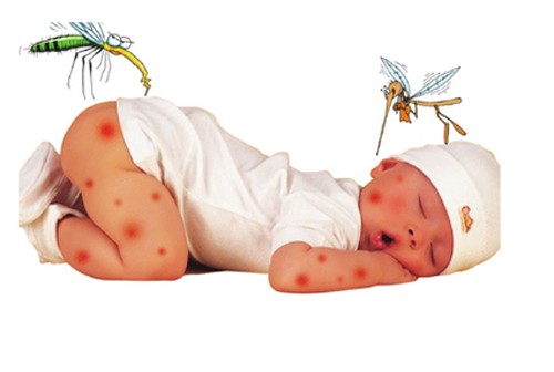 Nên ăn gì để bệnh sốt xuất huyết nhanh khỏi?