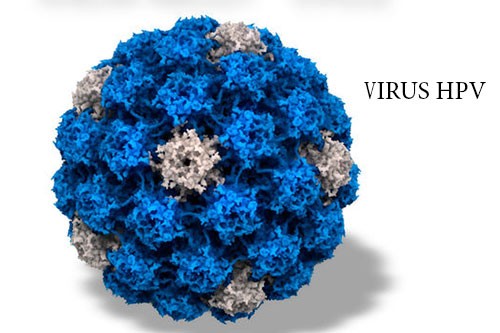 HPV có gây vô sinh không?