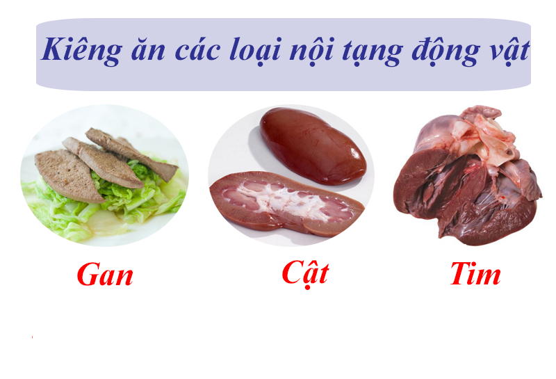 benh-vien-huu-nghi-lac-viet-tinh-vinh-phuc-nguy-co-an-noi-tang-dong-vat nguy co khi noi tang dong vat