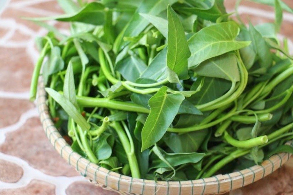 thuc hu an rau muong gay seo loi