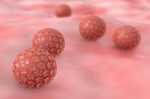 nhung dieu can biet ve virus hpv