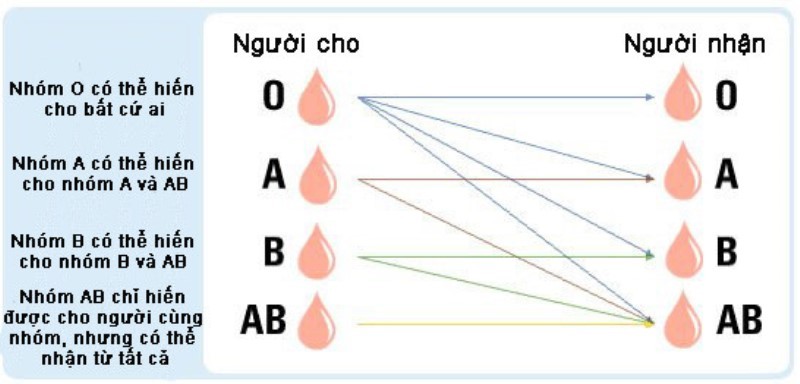 cach nhan biet nhom mau de dang 2