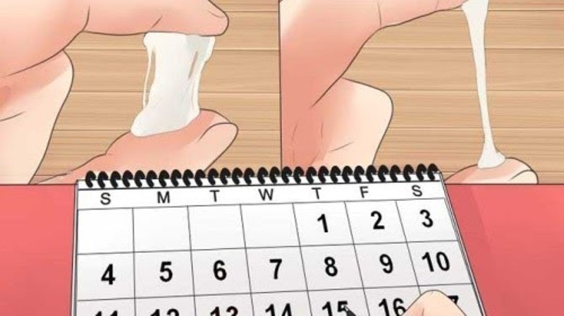 Có chất nhầy bao lâu thì rụng trứng? 1 co chat nhay bao lau thi rung trung 1