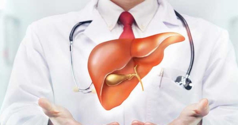 Tổng hợp thông tin cơ bản cần biết về bệnh gan nhiễm mỡ