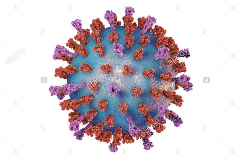 virus rsv la gi va cach phong tranh 1