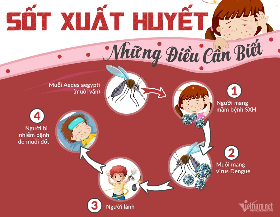 SỐT XUẤT HUYẾT ĐANG PHÁT TRIỂN MẠNH TRONG MÙA MƯA
