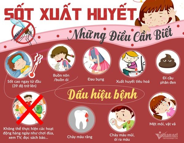 SỐT XUẤT HUYẾT ĐANG PHÁT TRIỂN MẠNH TRONG MÙA MƯA 1 sot xuat huyet 1