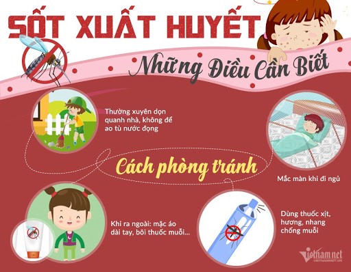 SỐT XUẤT HUYẾT ĐANG PHÁT TRIỂN MẠNH TRONG MÙA MƯA 2 unnamed 1