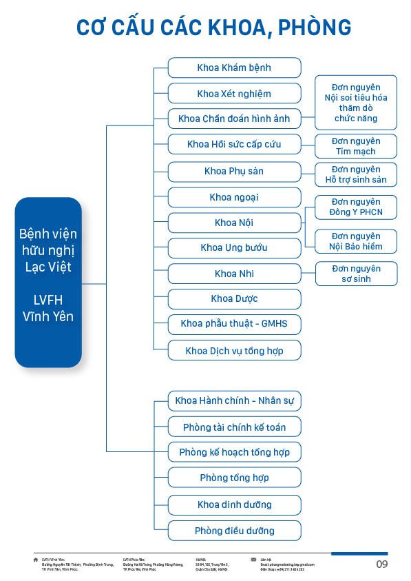 Sơ đồ tổ chức