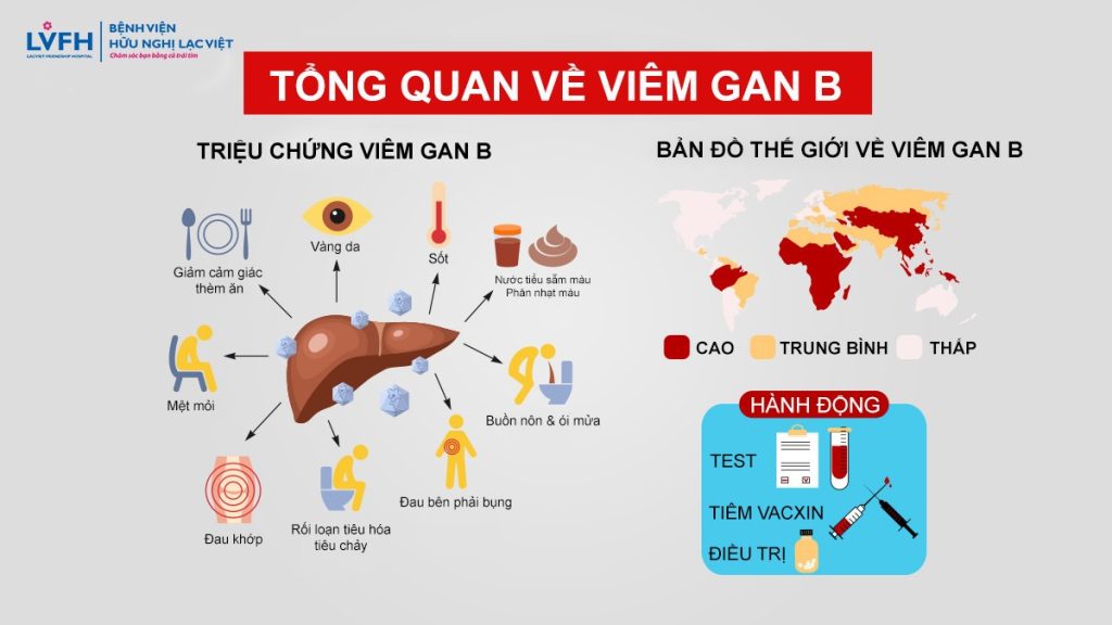 Viêm gan B là gì? Biến chứng, đường lây và cách phòng tránh