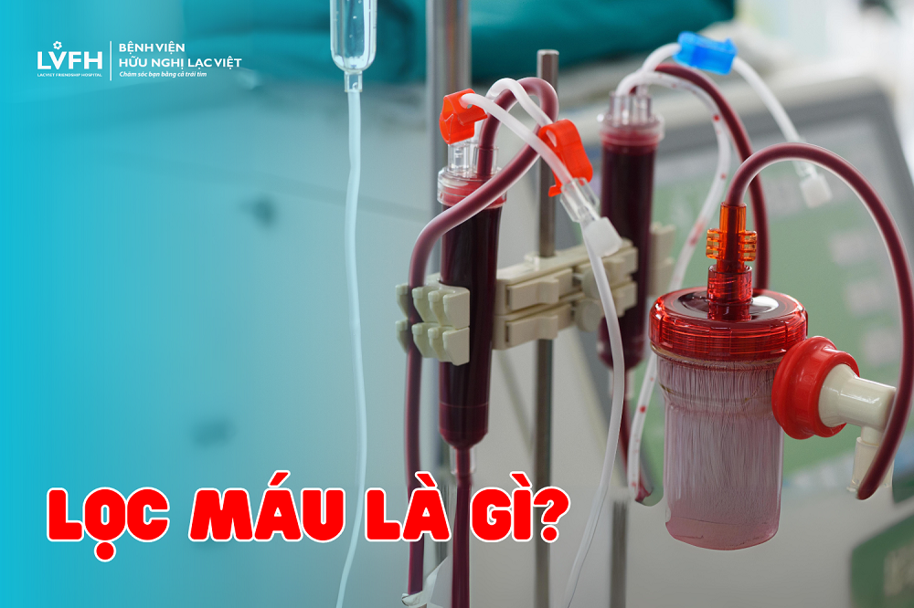 Lọc máu là gì? Tại sao phải lọc máu? Lọc máu có tốt không?