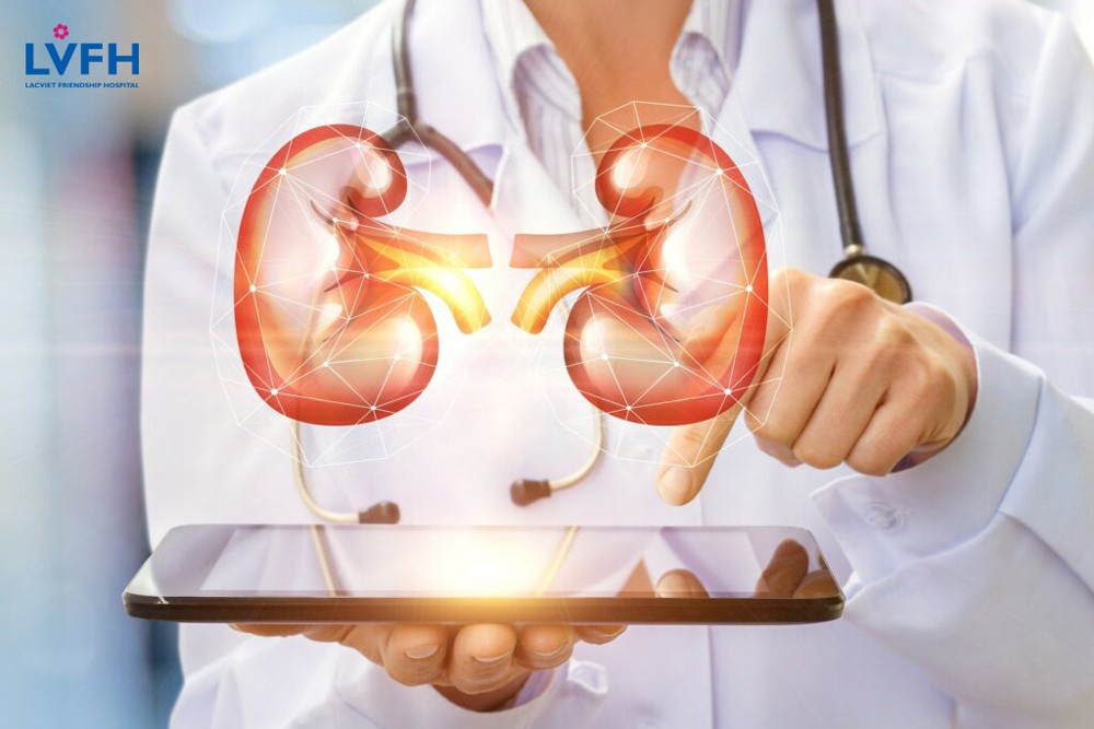 5 vai trò lọc máu là gì? Nó có giúp loại bỏ các chất độc hại, chất cặn ra ngoài cơ thể không?