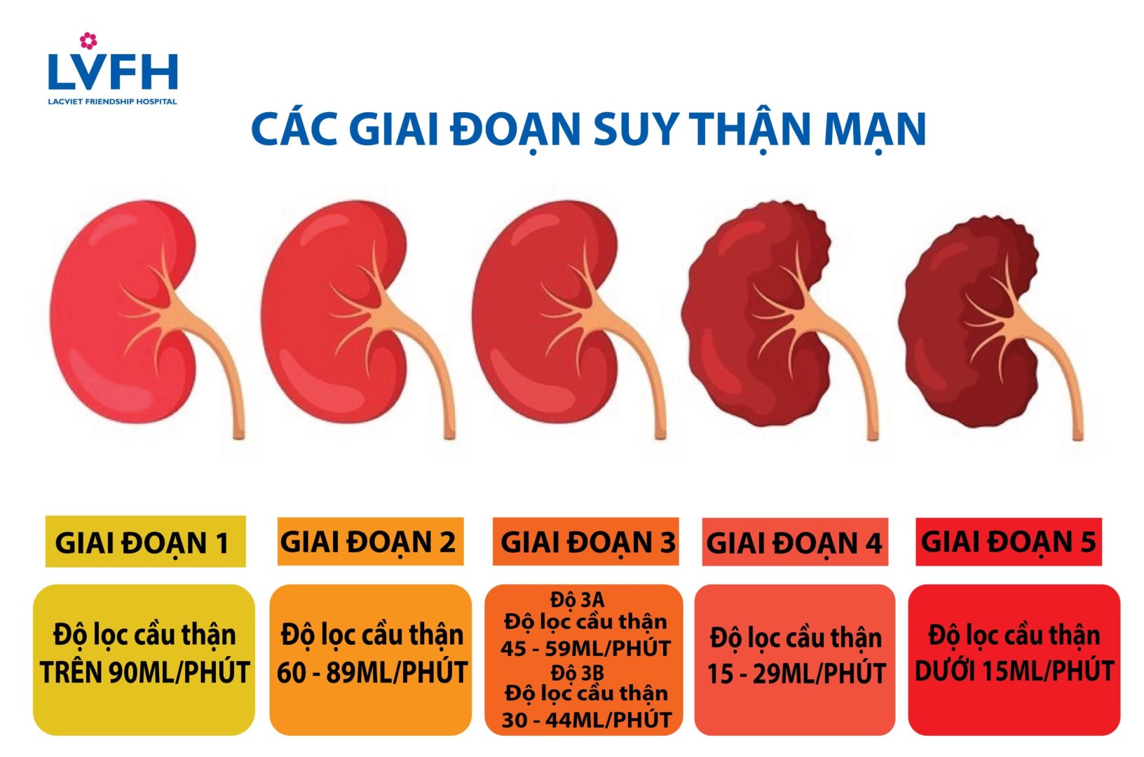 DO SUY THAN 01 scaled 1
