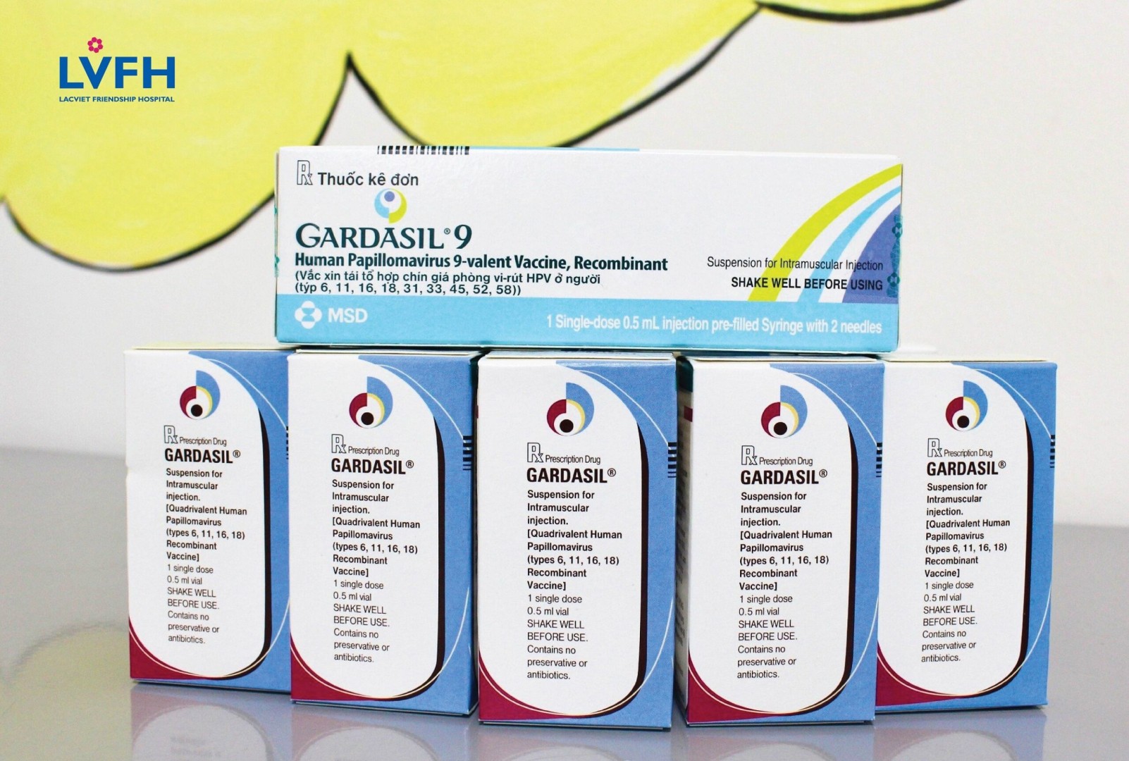 HPV 01 2 scaled 1