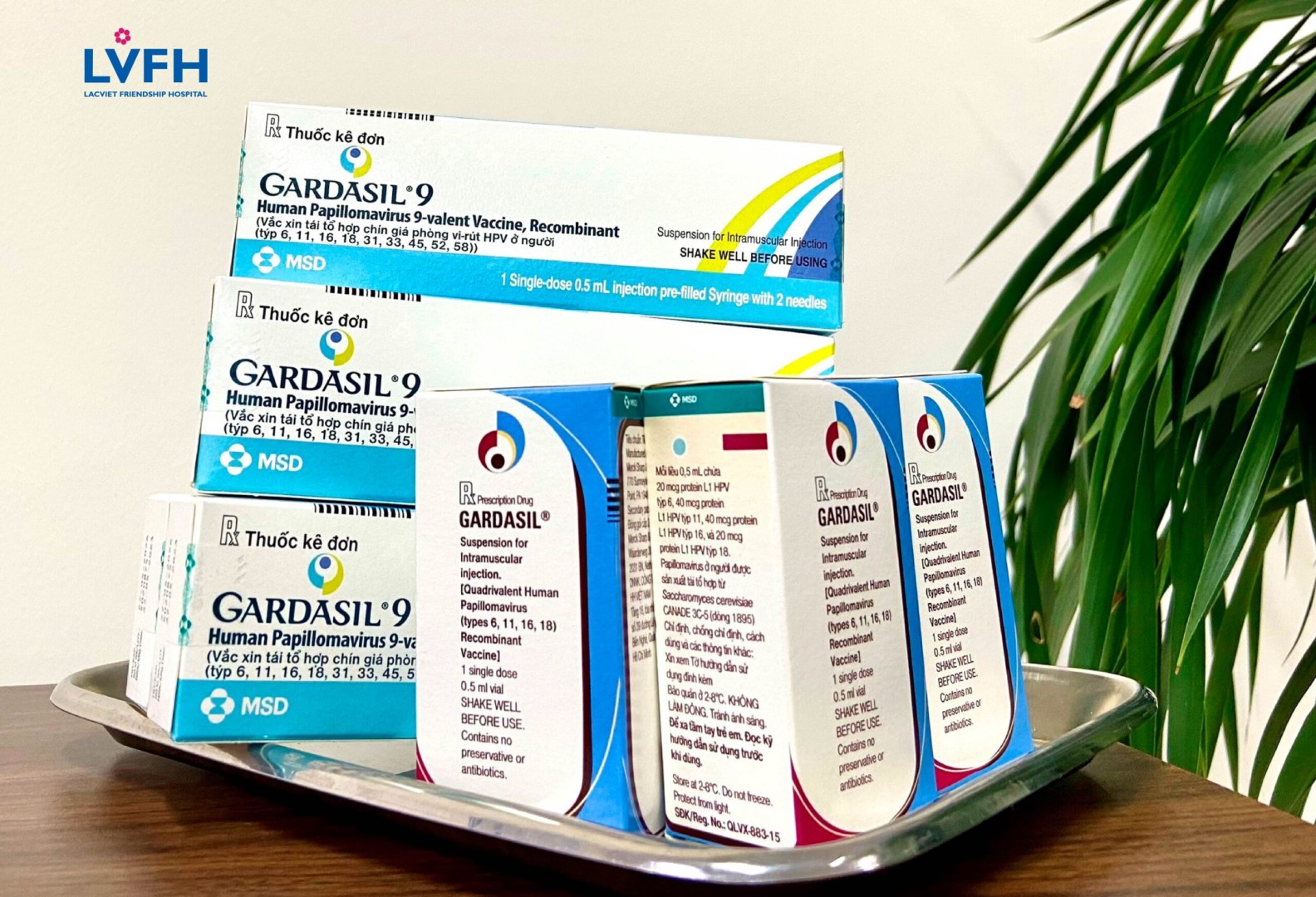 vac xin hpv 01 1 scaled 1