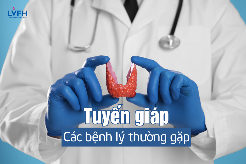 Tuyến giáp: Các bệnh lý thường gặp, nguyên nhân và cách phòng tránh