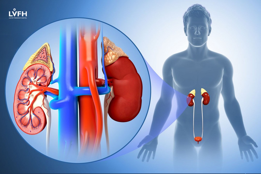 Chạy thận nhân tạo và lọc máu có khác nhau không, nếu khác thì khác như thế nào?