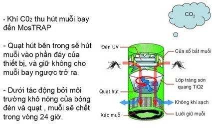 Mẹo bắt muỗi mùa hè – “dễ, nhanh, rẻ”